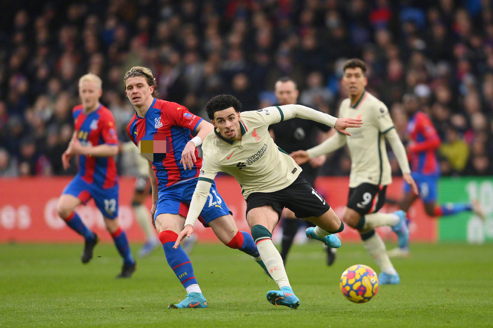 势必会导致 势必会导致